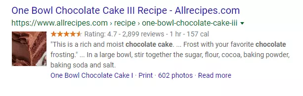 search engine return recipe with rich snippet